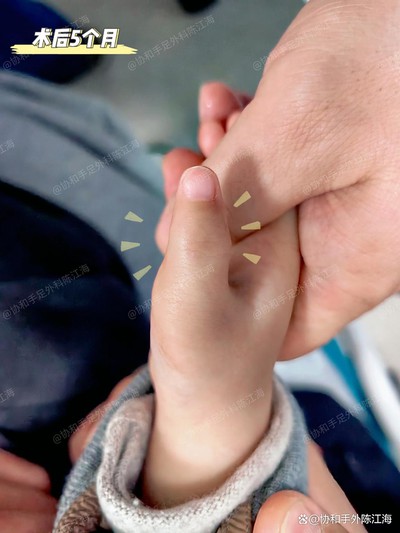 info-1242-1656 info-1242-1656